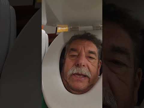 Toilet seat shopping